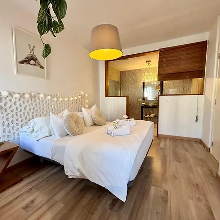 Paraiso 卡亚俄萨尔瓦赫