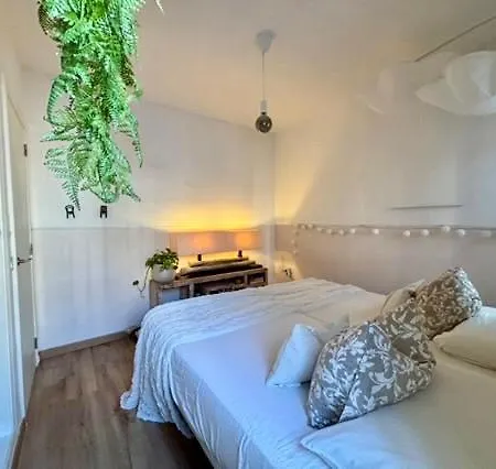 Paraiso * Callao Salvaje