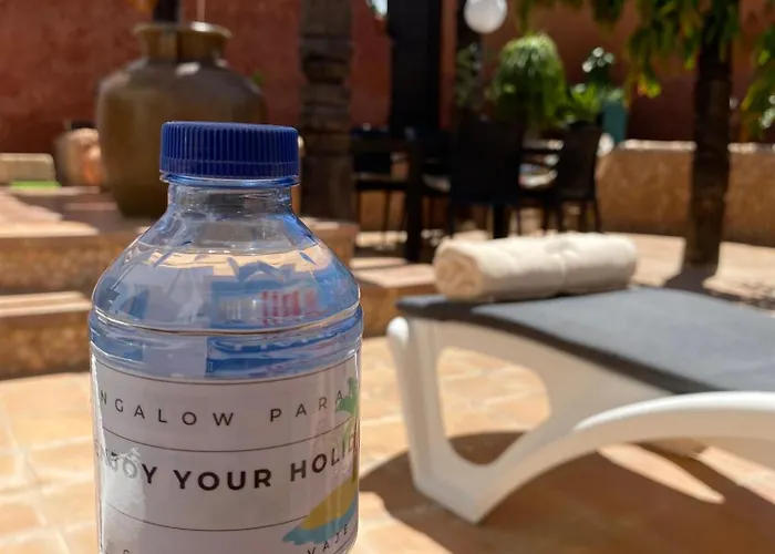 Paraiso Callao Salvaje