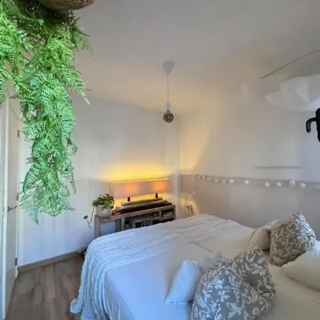 Paraiso Apartment Callao Salvaje