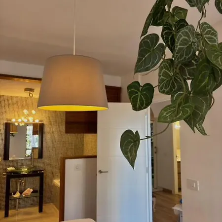 Paraiso * קיאו סלבאחה