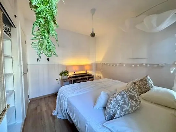 Paraiso * 卡亚俄萨尔瓦赫