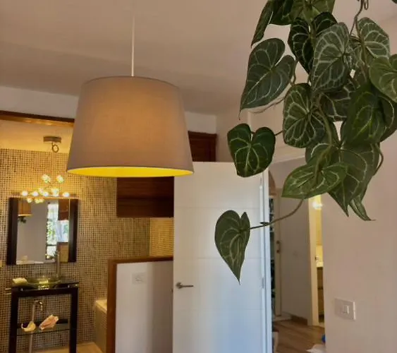 Paraiso * 卡亚俄萨尔瓦赫